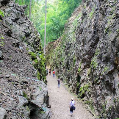 a group of people walking down a rocky trail