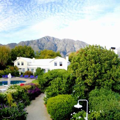 a garden in front of a mountain