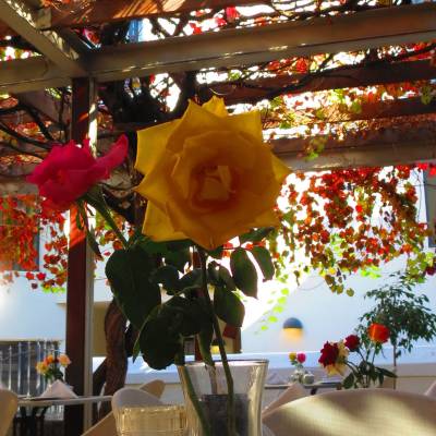 Oude Werf Restaurant Stellenbosch Cape Winelands South Africa