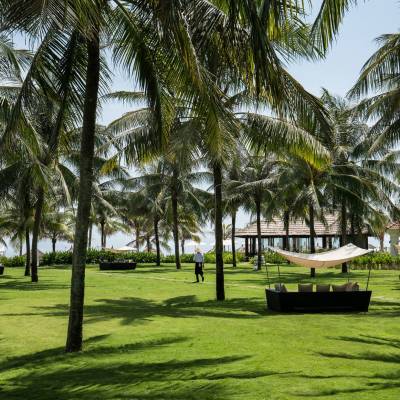 a large tree in a grassy area with palm trees