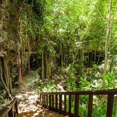 Garden of Eden