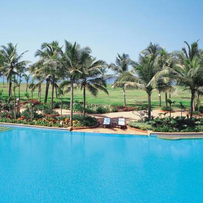 a group of palm trees next to a pool of water