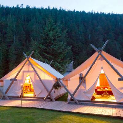 a tent in a forest
