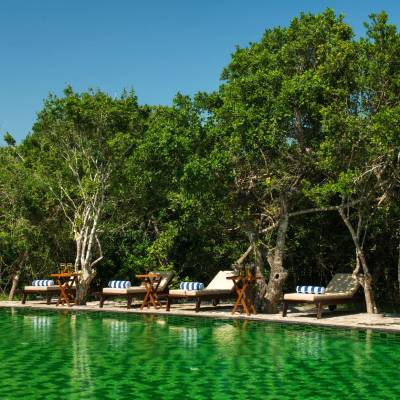 Swimming pool, Chena Huts
