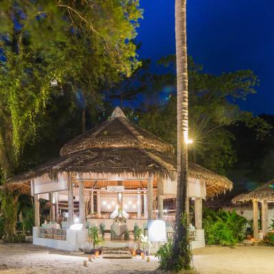 a group of palm trees