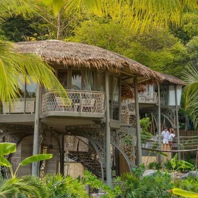 a green plant in a garden