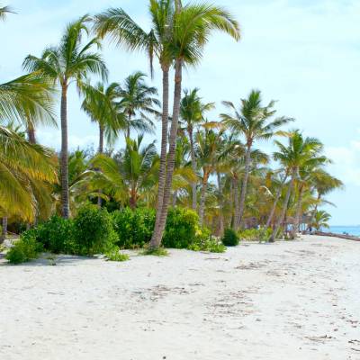 Beach View in Zanzibar