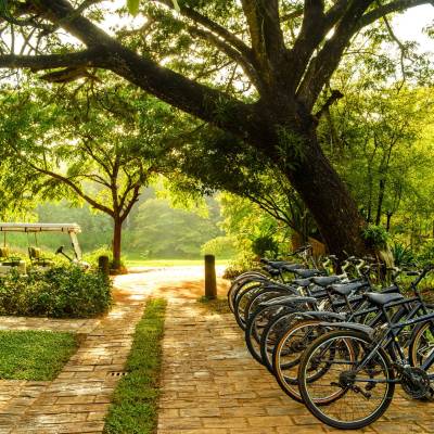 Complimentary bicycle hire