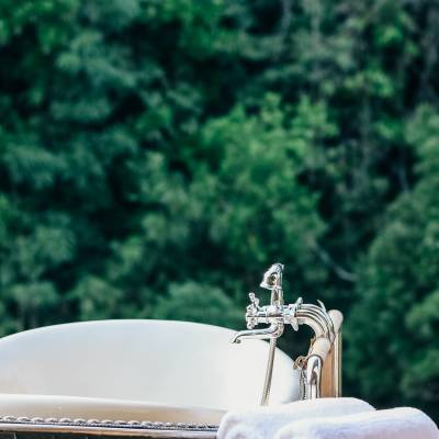 a close up of a forest