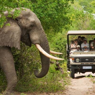 Kruger National Park