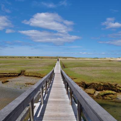 a bridge over a body of water