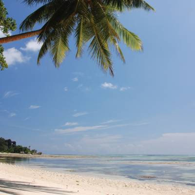 Seychelles Beach