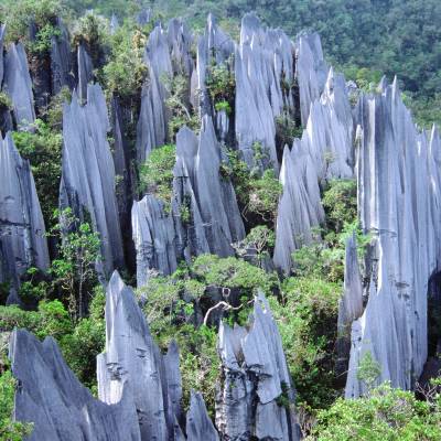 a group of men standing next to Gunung Mulu National Park