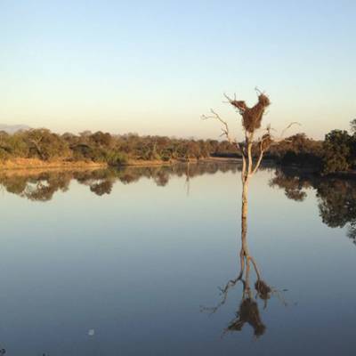 a body of water surrounded by trees