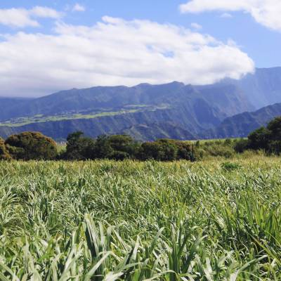 Reunion Island