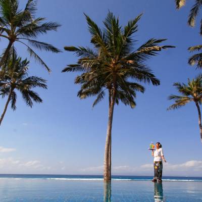 a palm tree in front of a body of water
