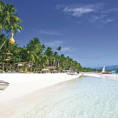 a group of palm trees next to a body of water