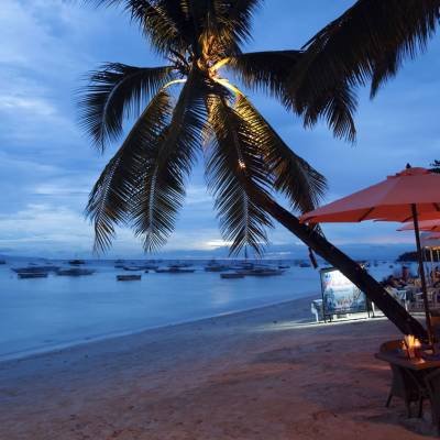 a group of palm trees next to a body of water