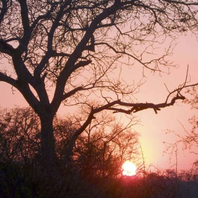 African sunset