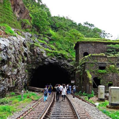 Dudhsagar Falls trainline