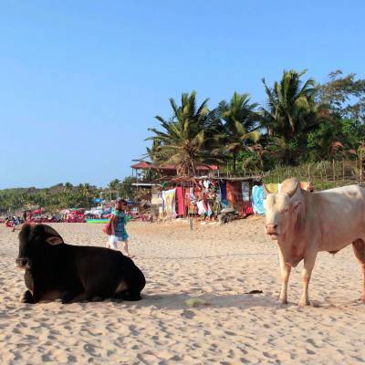 Goa Beach