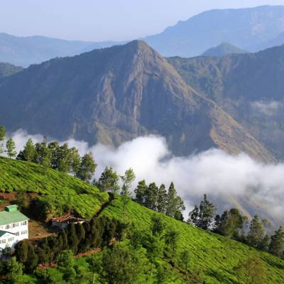 a view of a large mountain in the background