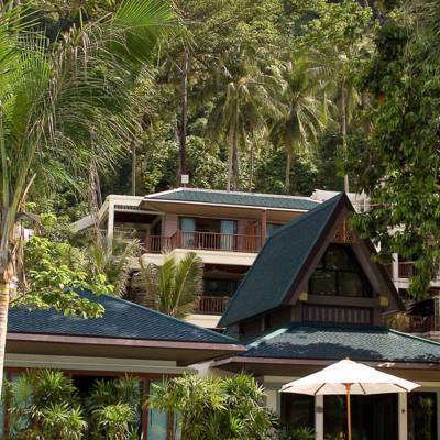 a house with a palm tree