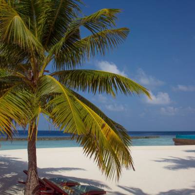 Coco Bodu Hithi