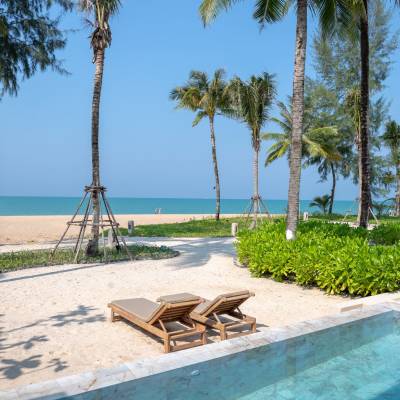 a pool next to a palm tree