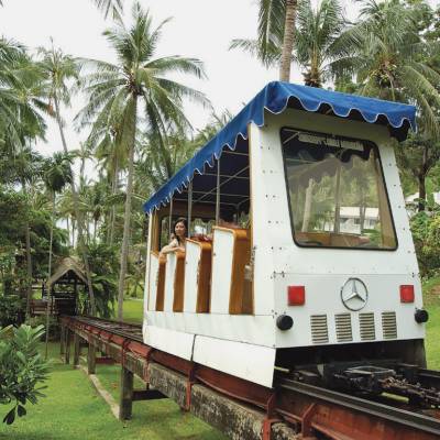 a train parked at a park