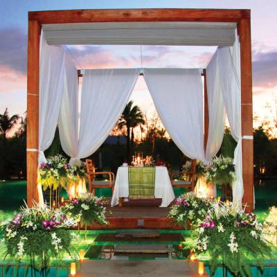 a room filled with furniture and vase of flowers on a plant