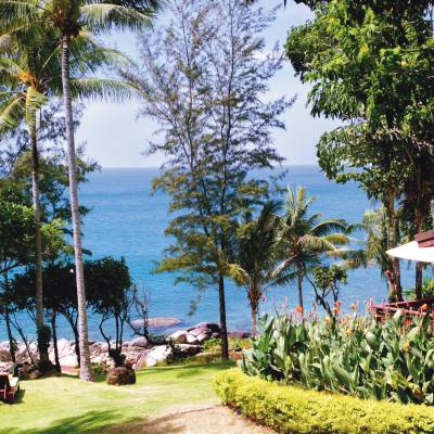 a group of palm trees next to a tree