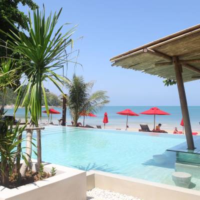 a group of palm trees next to a pool of water