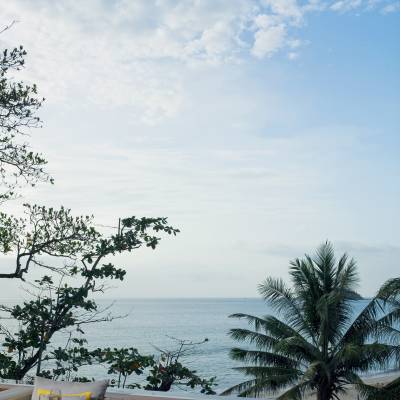 water next to a tree