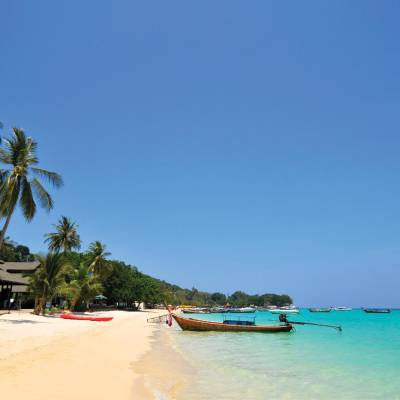 a group of palm trees on a beach near a body of water