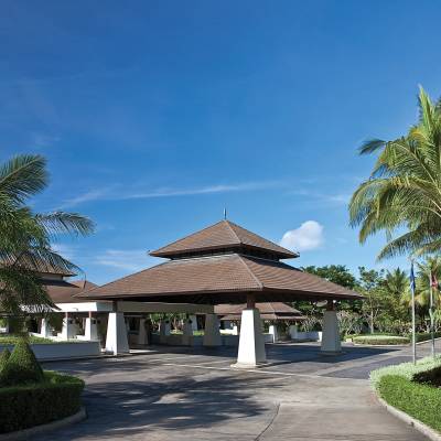 a large lawn in front of a palm tree