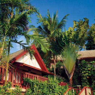 a palm tree in front of a building