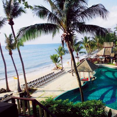 a group of palm trees next to a body of water