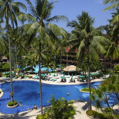 a pool next to a palm tree