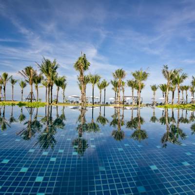 a group of palm trees next to a body of water