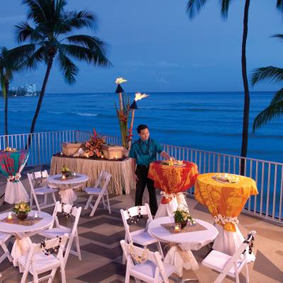 a group of palm trees next to a pool of water