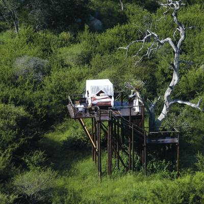 Chalkley Treehouse