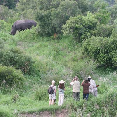 a group of people standing on a lush green field