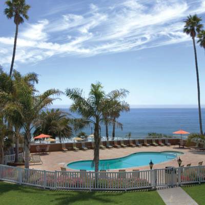 a pool next to a palm tree