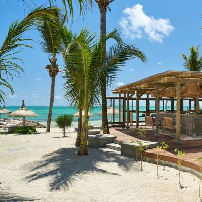 a beach with a palm tree