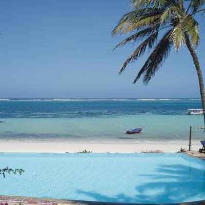 a group of palm trees on a beach near a body of water
