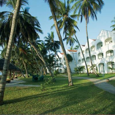 a large lawn in front of a palm tree