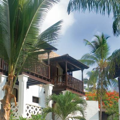 a house with bushes in front of a palm tree