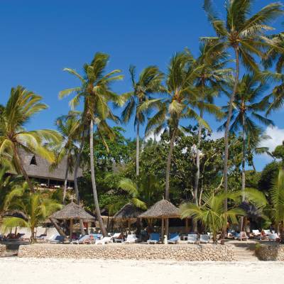 a group of people on a beach with a palm tree