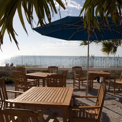 a wooden bench sitting next to a palm tree